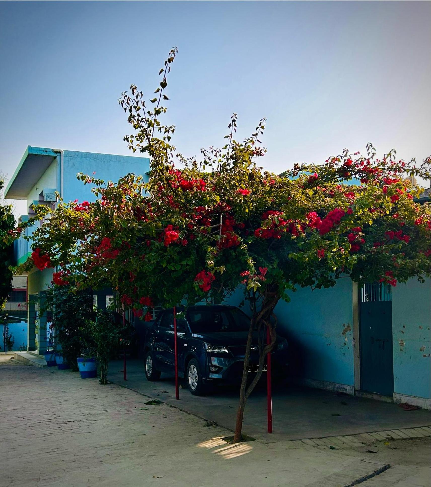 AyodhyaGooseberry Garden别墅 外观 照片