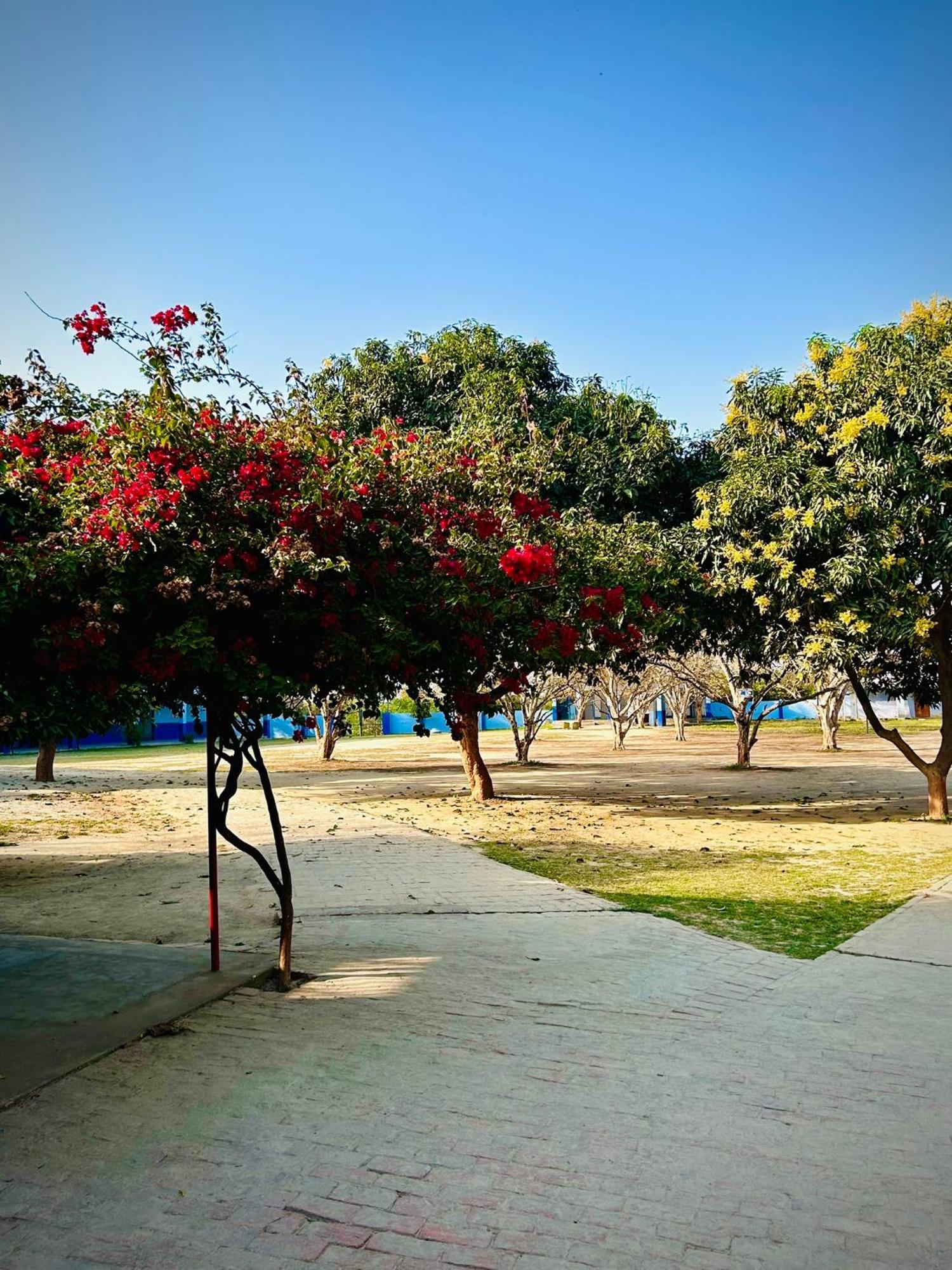 AyodhyaGooseberry Garden别墅 外观 照片