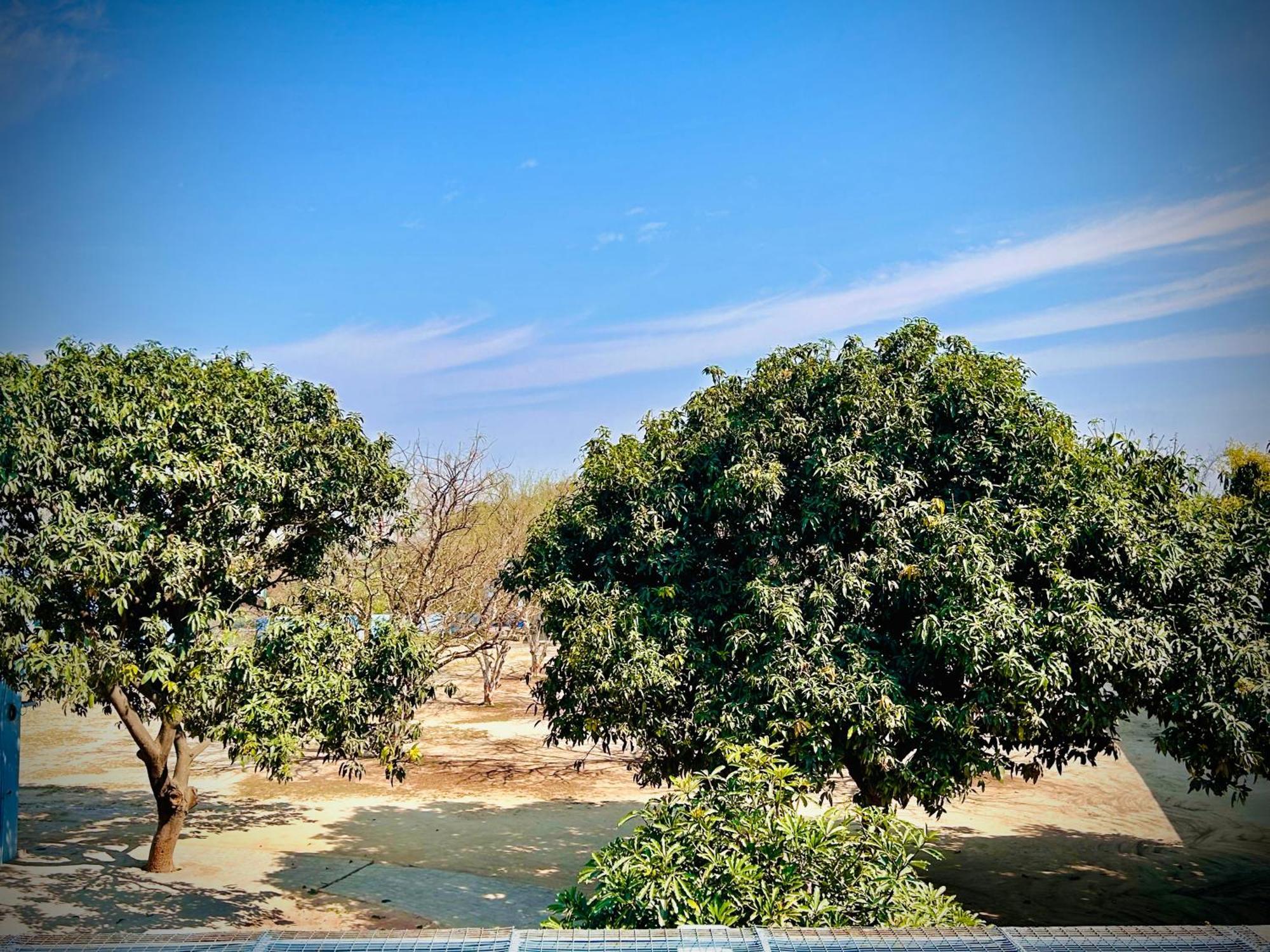 AyodhyaGooseberry Garden别墅 外观 照片